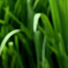Photo: 68px × 68px